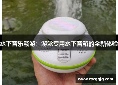 水下音乐畅游:游泳专用水下音箱的全新体验 水下音乐畅游:游泳专用水下音箱的全新体验