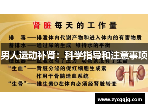 男人运动补肾:科学指导和注意事项 男人运动补肾:科学指导和注意事项
