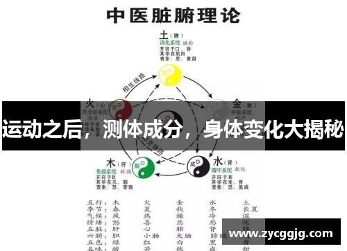 运动之后,测体成分,身体变化大揭秘 运动之后,测体成分,身体变化大揭秘